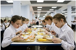 Горячая линия по организации питания школьников